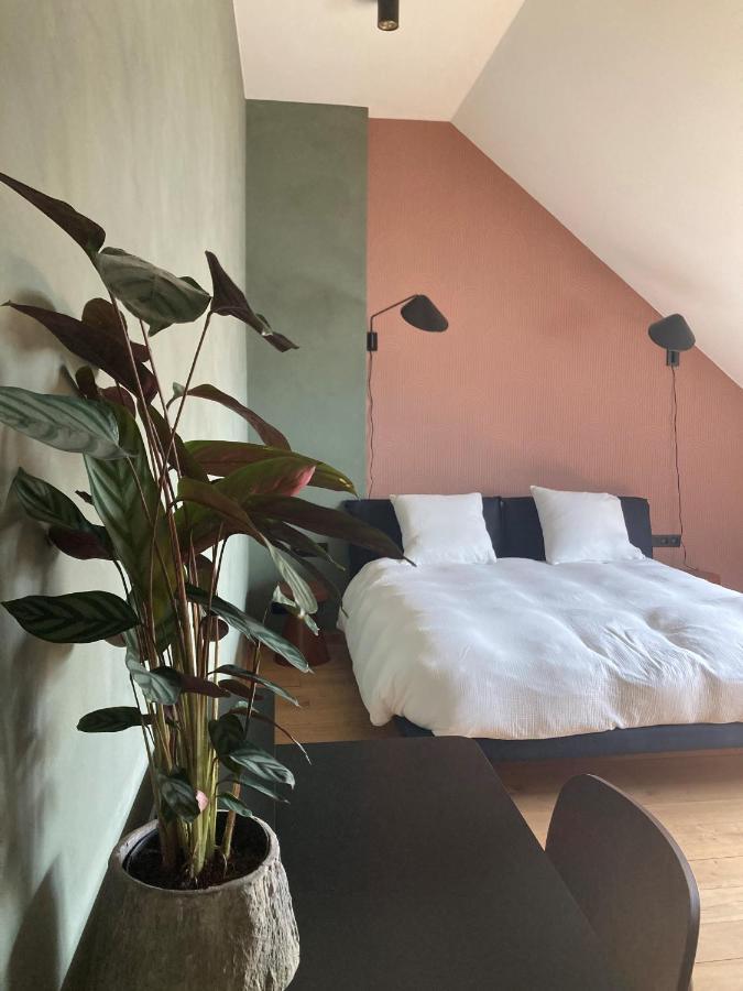 Hotel Boutique Marie Marie
